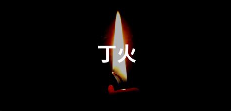 丁火是什麼|丁火（中医理论）